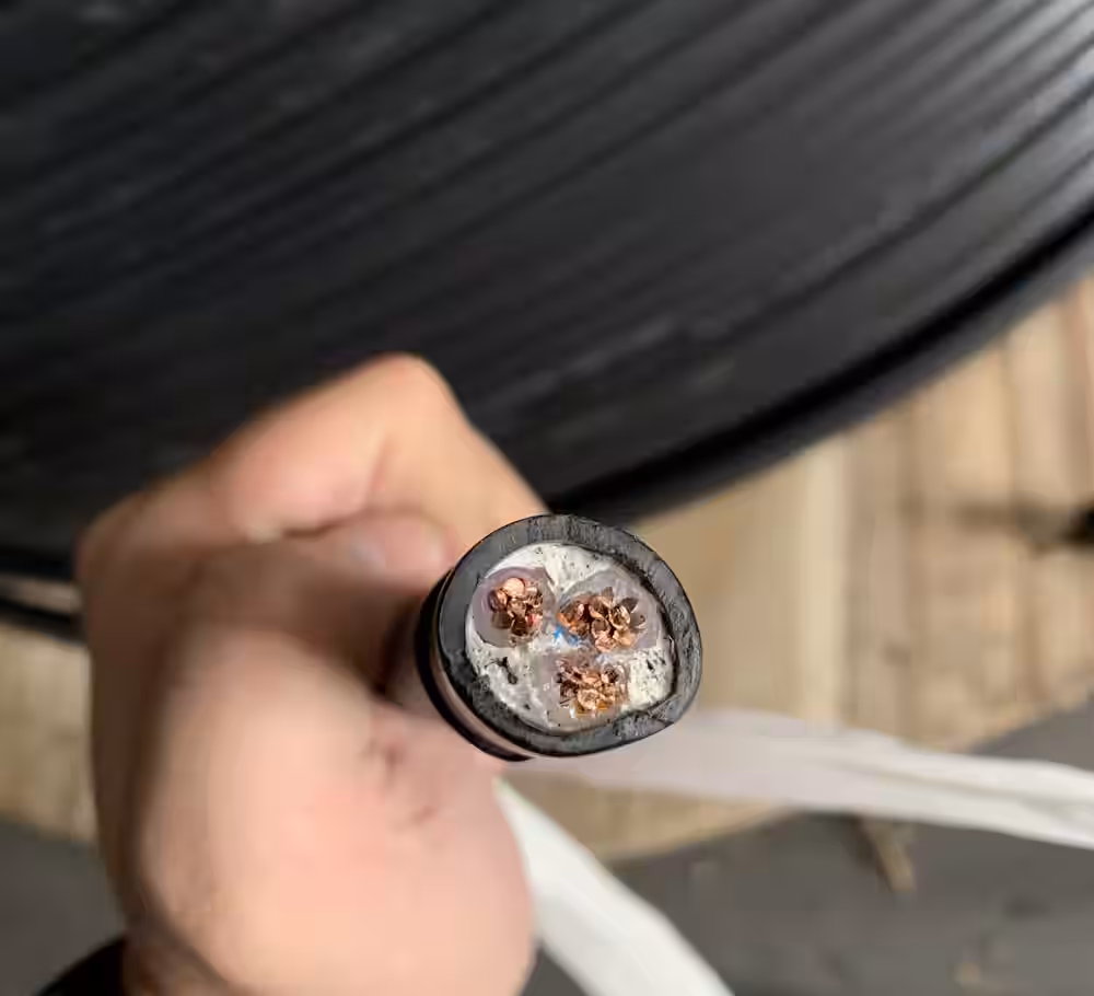 C&aacute;p điện 0.6_1kV Cu_XLPE_PVC 3x10mm2