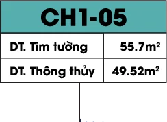 Khối 5 - Ảnh info